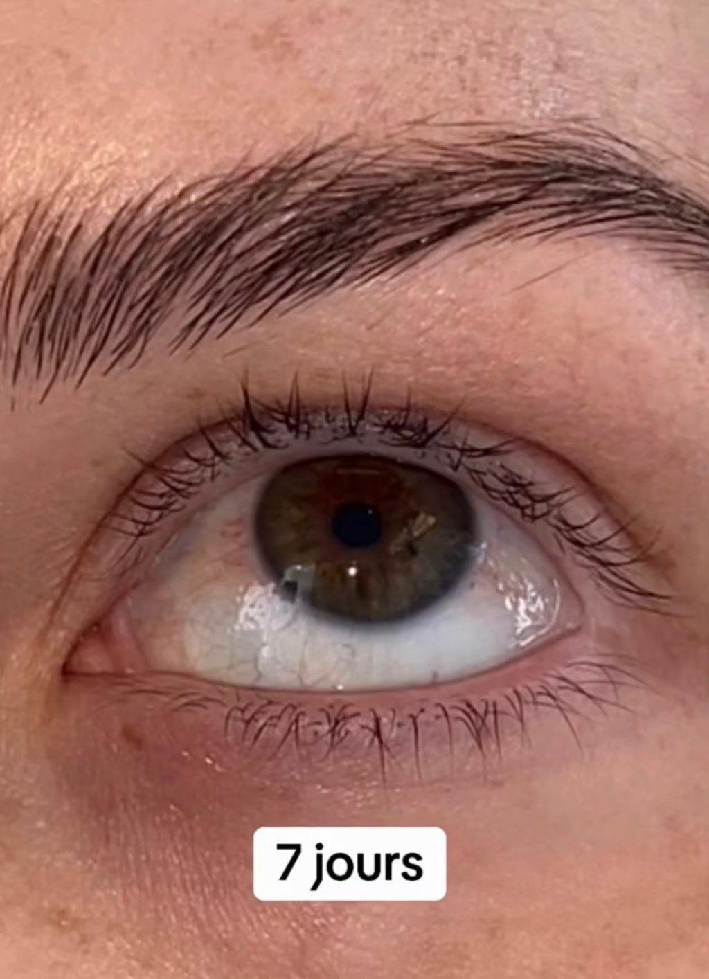 Lash’EXPRESS – Sérum pousse cils & sourcils