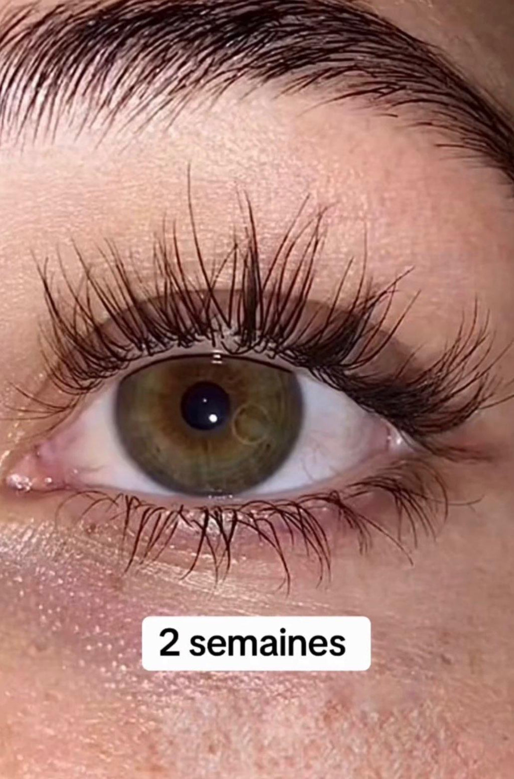 Lash’EXPRESS – Sérum pousse cils & sourcils